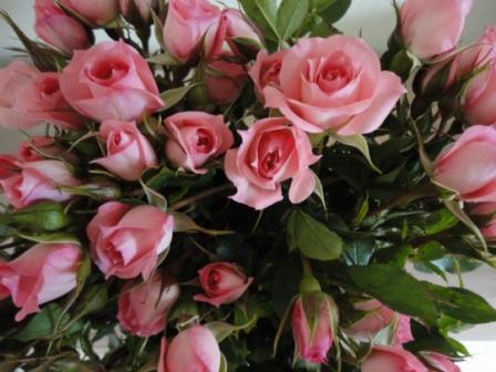 minature pink roses arrangement how to