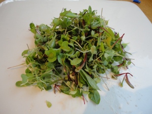 Micro green salad