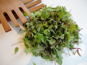 Microgreen salad organic