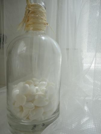 white shells net bottle